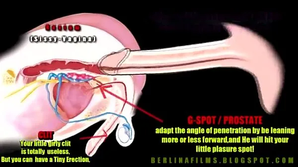 Nouveau tube de lecteur anatomie transexuelle