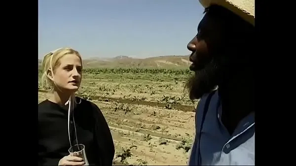 Nouveau tube de lecteur Mecs ébène travaillant avec une botte de foin dans l'entrepôt Amish