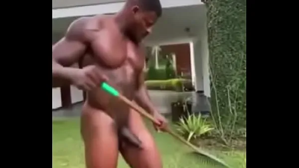 Sveža nude gardener pogonska cev