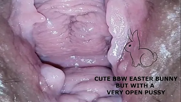 Fresh Cute bbw bunny, but with a very open pussy drive Tube