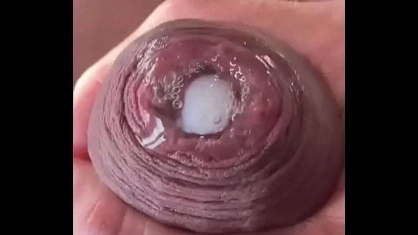 Świeża several dick with uncut skin rura napędowa